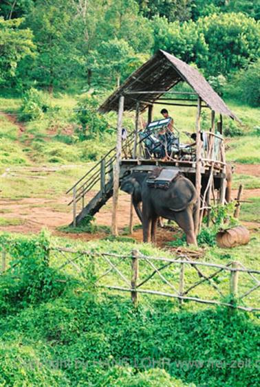 20 Thailand 2002 F1010001 Khao Lak Elefantentrekking 1_478